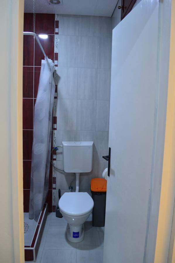 Apartman Linera Sokobanja Zewnętrze zdjęcie